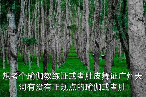 想考個瑜伽教練證或者肚皮舞證廣州天河有沒有正規點的瑜伽或者肚