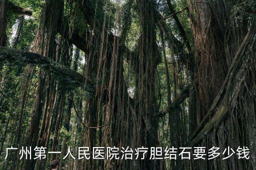廣州第一人民醫院治療膽結石要多少錢