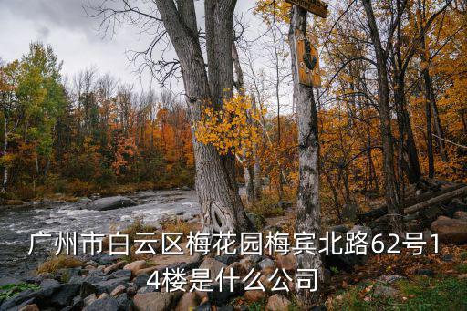 廣州市白云區(qū)梅花園梅賓北路62號14樓是什么公司