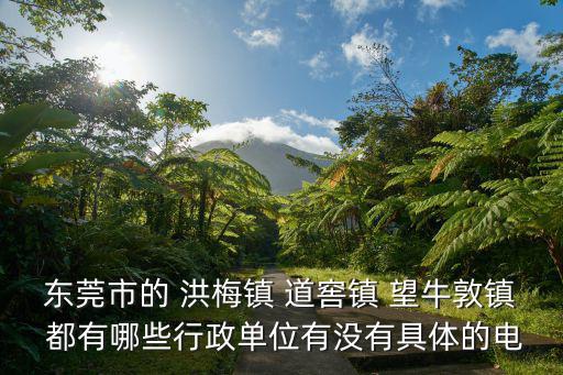 東莞市的 洪梅鎮(zhèn) 道窖鎮(zhèn) 望牛敦鎮(zhèn) 都有哪些行政單位有沒有具體的電