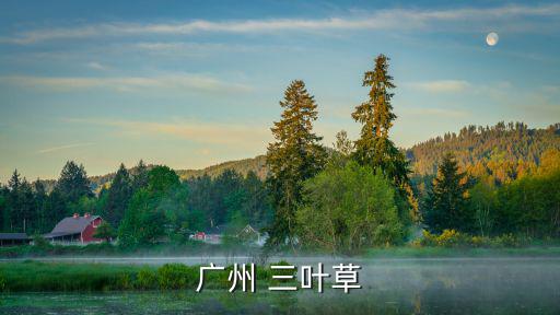廣州adidas originals，阿迪達斯廣州專賣店