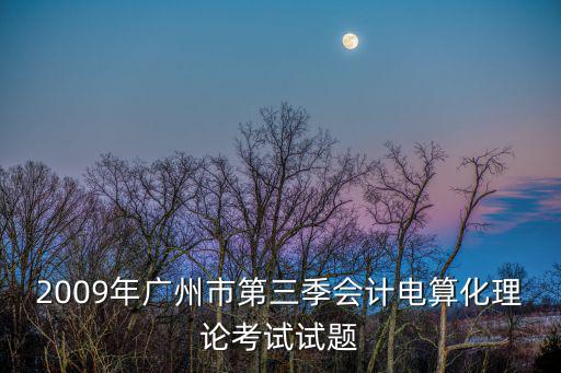 2009年廣州市第三季會(huì)計(jì)電算化理論考試試題