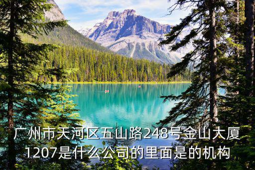 廣州市天河區五山路248號金山大廈1207是什么公司的里面是的機構