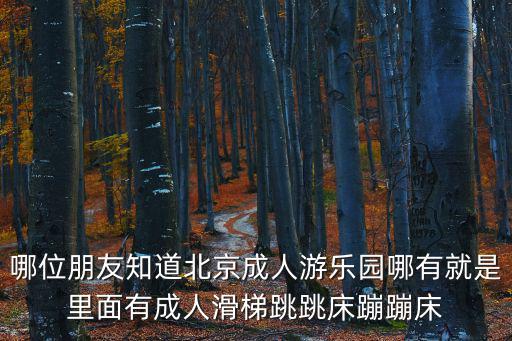 哪位朋友知道北京成人游樂園哪有就是里面有成人滑梯跳跳床蹦蹦床