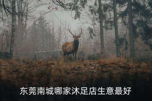 東莞南城哪家沐足店生意最好
