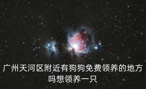 廣州天河區附近有狗狗免費領養的地方嗎想領養一只