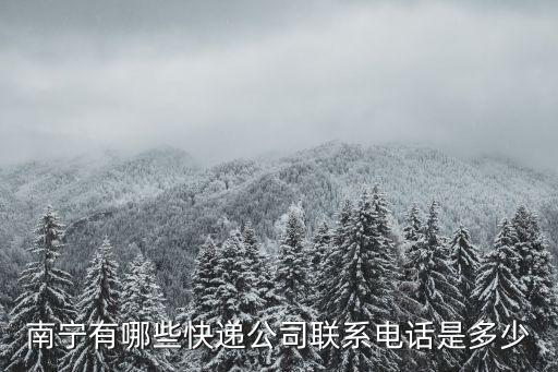 小紅馬快遞，南寧有哪些快遞公司聯系電話是多少