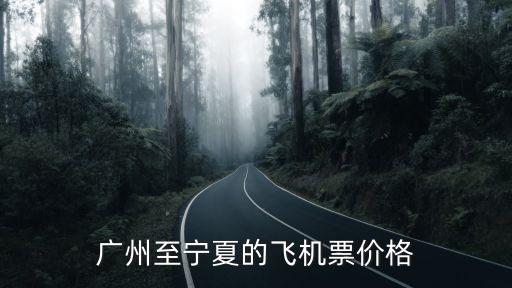 廣州至寧夏的飛機票價格