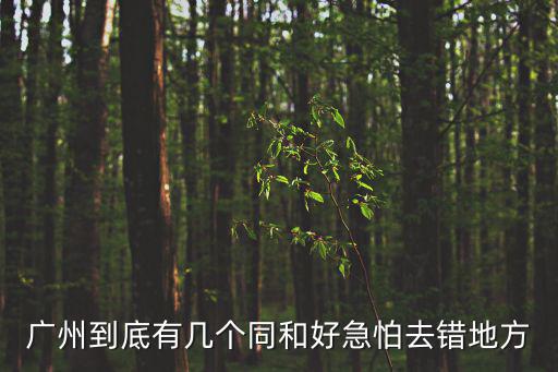 廣州到底有幾個(gè)同和好急怕去錯(cuò)地方