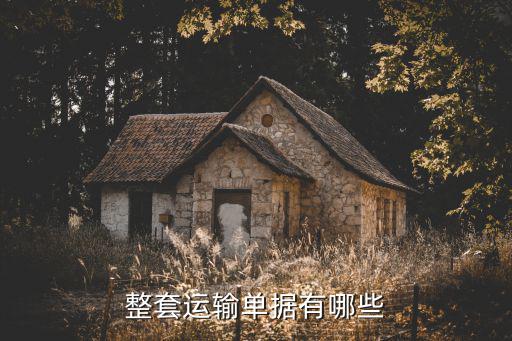 整套運輸單據(jù)有哪些