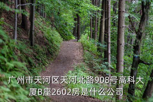 廣州市天河區(qū)天河北路908號(hào)高科大廈B座2602房是什么公司