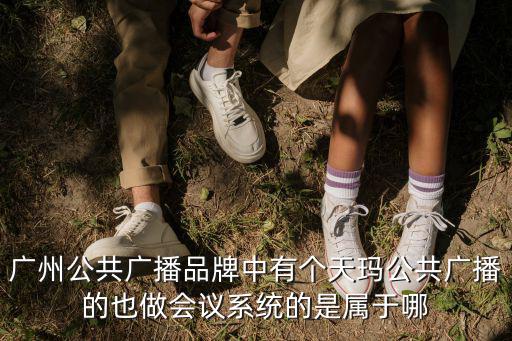 廣州公共廣播品牌中有個(gè)天瑪公共廣播的也做會議系統(tǒng)的是屬于哪