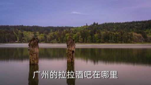 廣州的拉拉酒吧在哪里