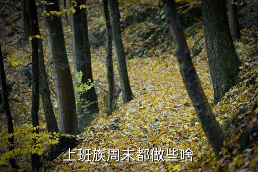 上班族周末都做些啥