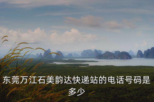 東莞萬江石美韻達快遞站的電話號碼是多少