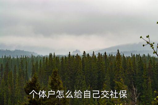 個體戶怎么給自己交社保