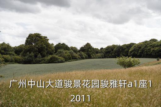 廣州中山大道駿景花園駿雅軒a1座12011