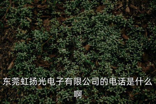東莞虹揚光電子有限公司的電話是什么啊