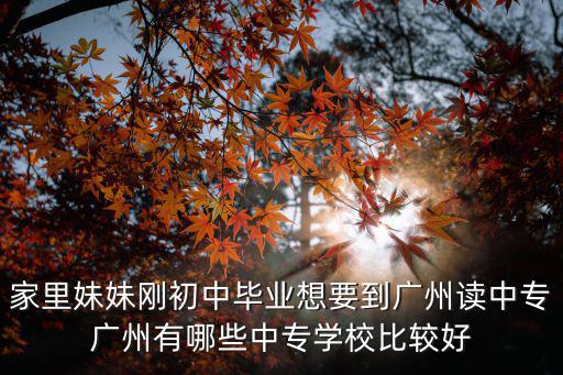 廣州中職教育，廣東省中等職業教育是中專么