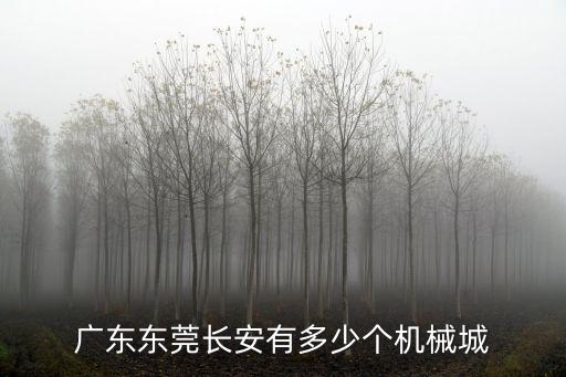 廣東東莞長(zhǎng)安有多少個(gè)機(jī)械城