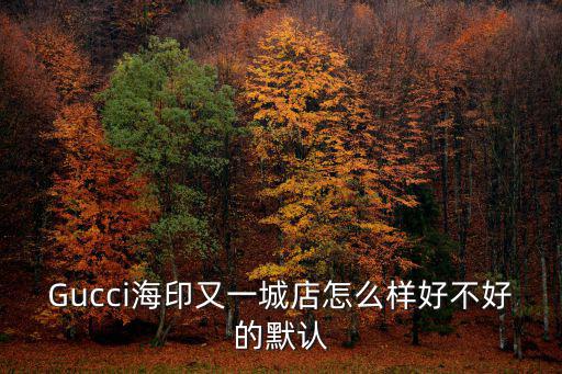 Gucci海印又一城店怎么樣好不好的默認