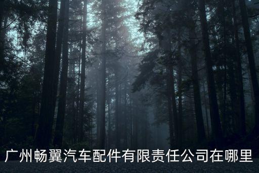 廣州暢翼官網，廣州暢翼汽車配件有限責任公司在哪里