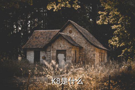 K8是什么