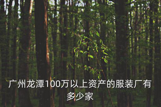 廣州市佰尼倫服裝有限公司，廣州龍?zhí)?00萬以上資產(chǎn)的服裝廠有多少家