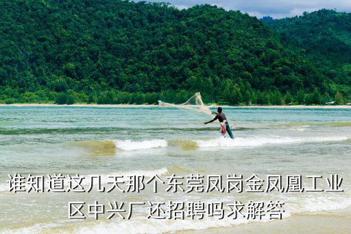 誰知道這幾天那個東莞鳳崗金鳳凰工業(yè)區(qū)中興廠還招聘嗎求解答