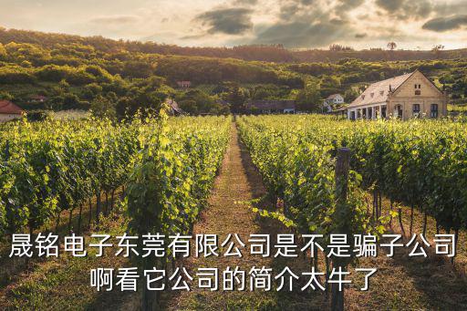 晟銘電子?xùn)|莞有限公司是不是騙子公司啊看它公司的簡介太牛了