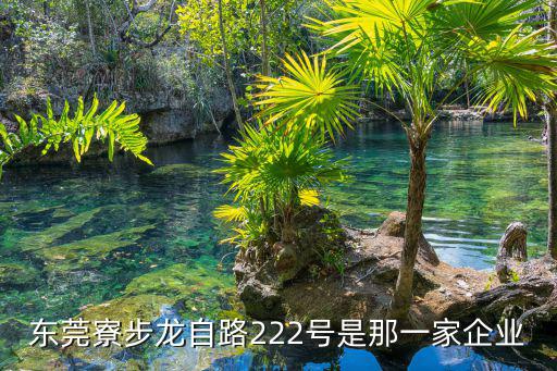 東莞寮步龍自路222號(hào)是那一家企業(yè)