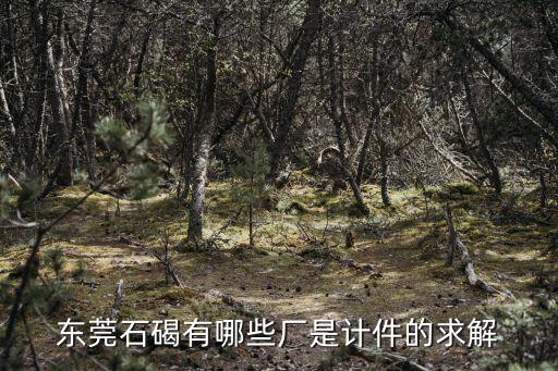 東莞石碣有哪些廠是計件的求解