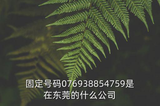 固定號(hào)碼076938854759是在東莞的什么公司