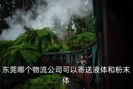 東莞哪個物流公司可以寄送液體和粉末體
