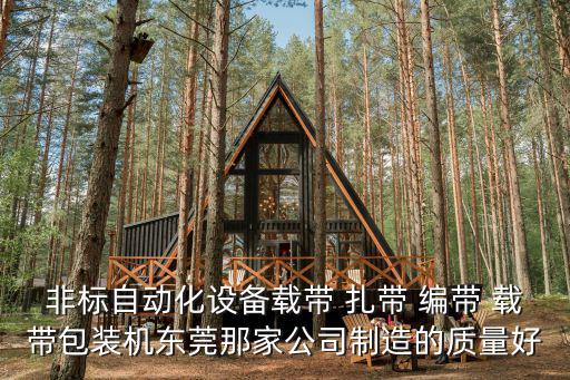 非標自動化設備載帶 扎帶 編帶 載帶包裝機東莞那家公司制造的質量好