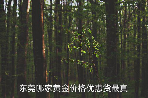 東莞大都 金，2019年不知道東莞公積金是不是能提取呀