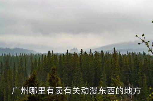 廣州哪里有賣有關(guān)動漫東西的地方