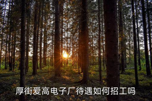 厚街愛(ài)高電子廠待遇如何招工嗎
