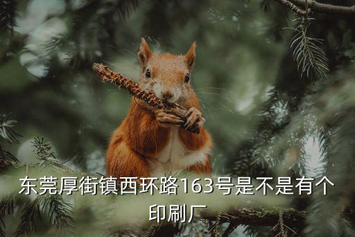 東莞晨耀印刷材料有限公司，東莞厚街鎮西環路163號是不是有個印刷廠