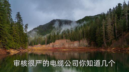 審核很嚴的電纜公司你知道幾個