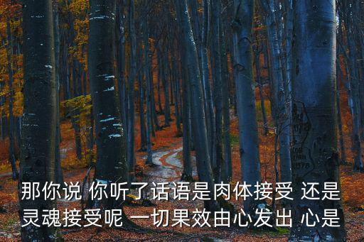 那你說 你聽了話語是肉體接受 還是靈魂接受呢 一切果效由心發出 心是
