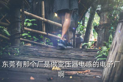 東莞有那個(gè)廠是做變壓器電感的電子廠啊