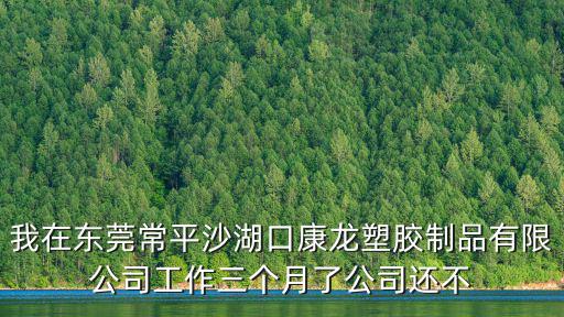 我在東莞常平沙湖口康龍塑膠制品有限公司工作三個月了公司還不