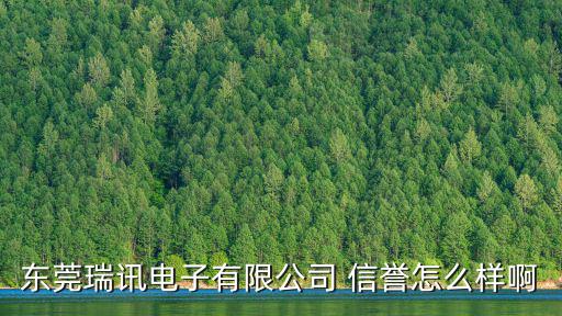 東莞瑞訊電子有限公司 信譽怎么樣啊