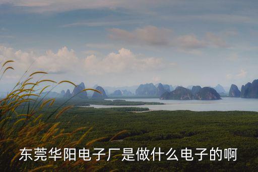 東莞華陽電子廠是做什么電子的啊