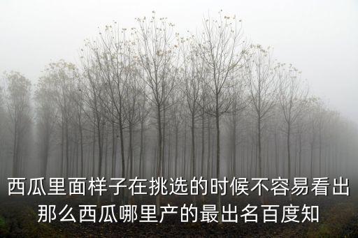 南匯西瓜，西瓜有這么多的品種上海人為什么獨獨愛南匯8424西瓜