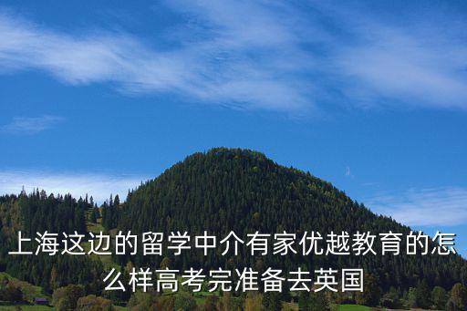 上海這邊的留學中介有家優越教育的怎么樣高考完準備去英國