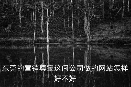 東莞的營銷尊寶這間公司做的網(wǎng)站怎樣好不好