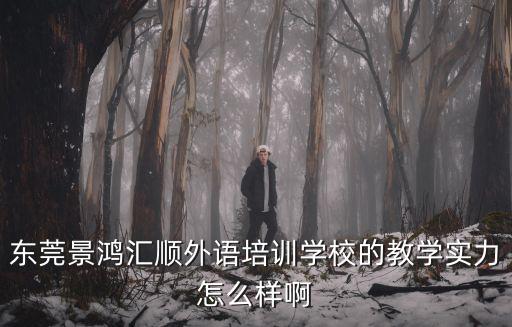 東莞景鴻匯順外語培訓學校的教學實力怎么樣啊