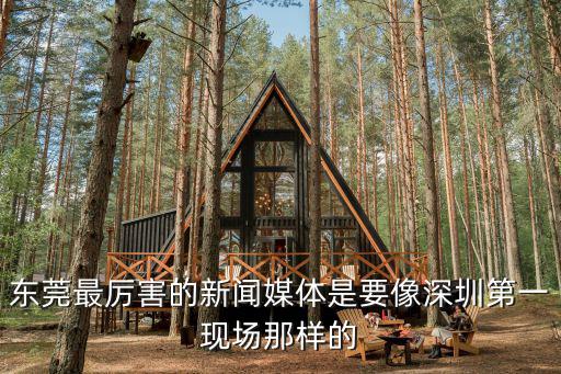 東莞最厲害的新聞媒體是要像深圳第一現(xiàn)場(chǎng)那樣的